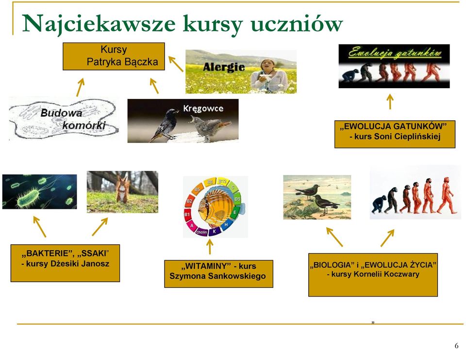 SSAKI - kursy Dżesiki Janosz WITAMINY - kurs Szymona