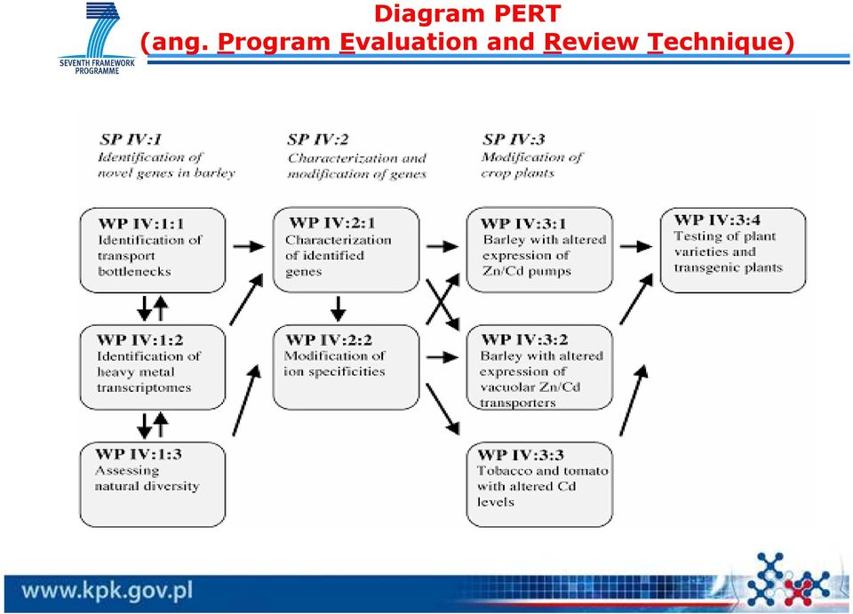 Evaluation and