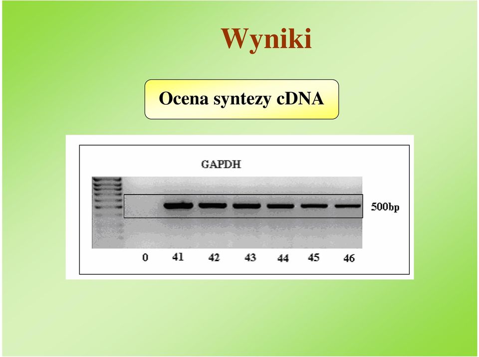 syntezy