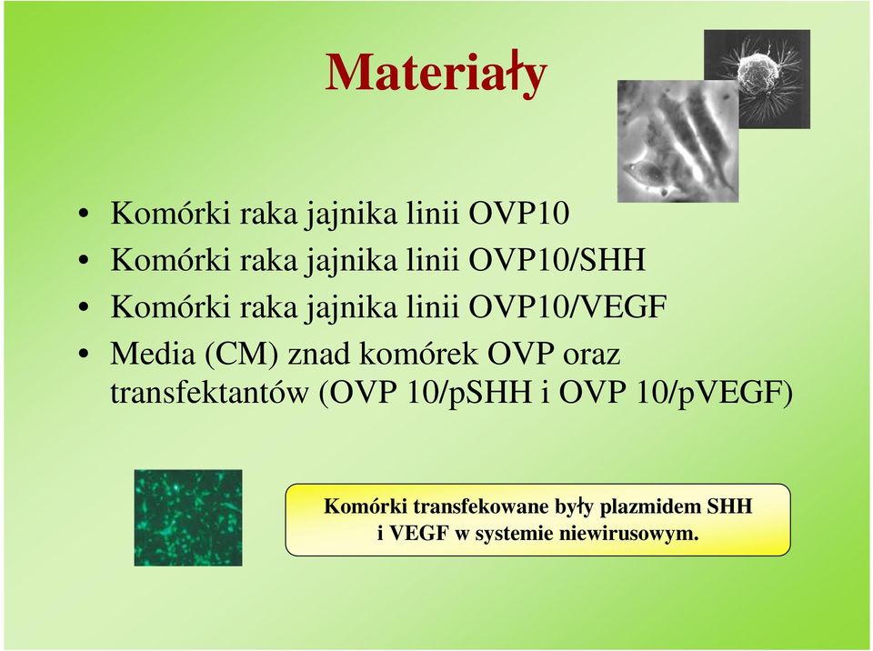 znad komórek OVP oraz transfektantów (OVP 10/pSHH i OVP 10/pVEGF)