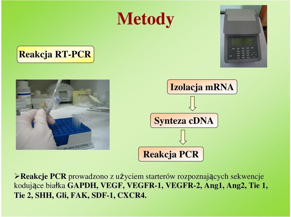 rozpoznających sekwencje kodujące białka GAPDH, VEGF,