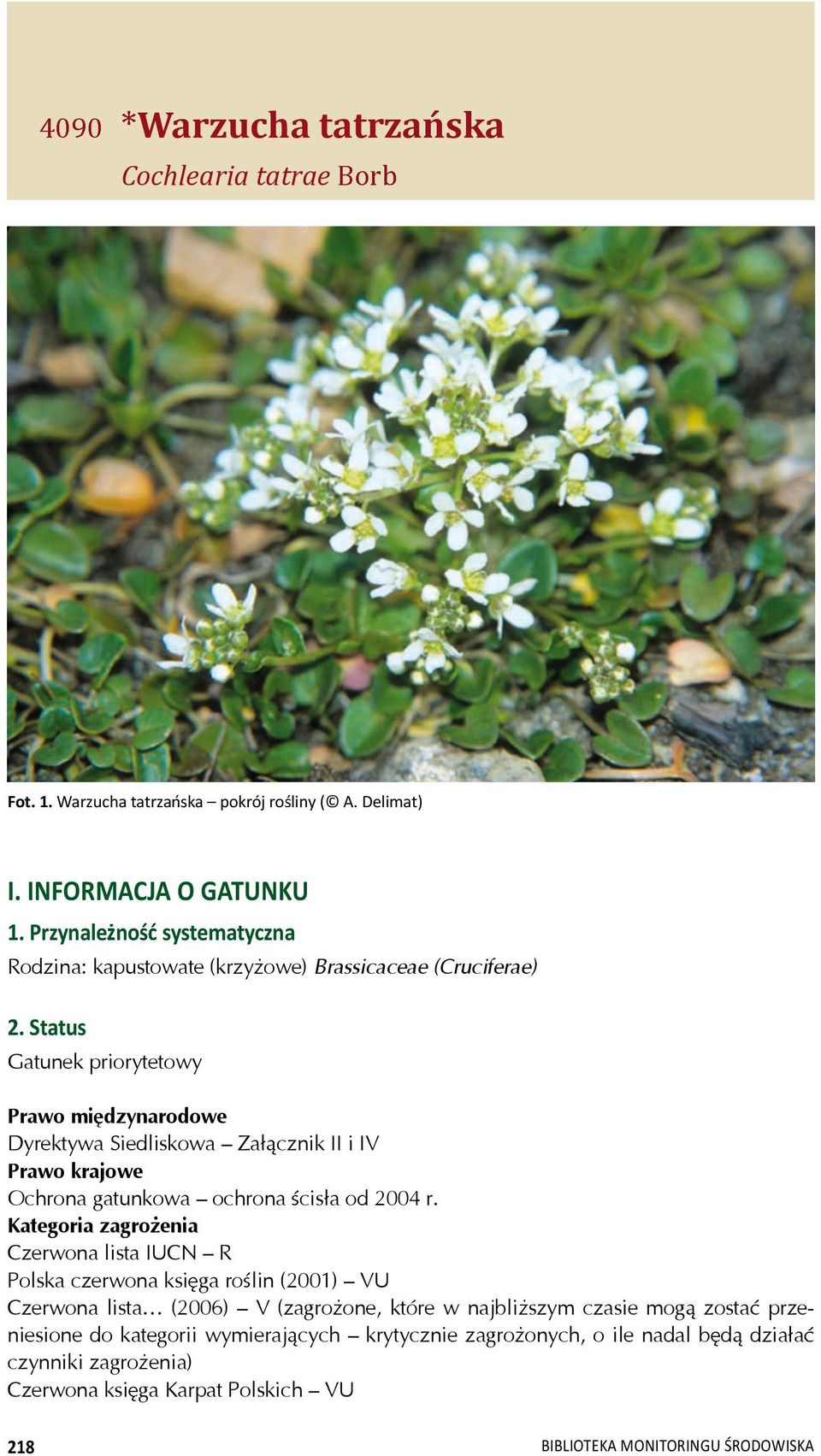 Status Gatunek priorytetowy Prawo mi dzynarodowe Dyrektywa Siedliskowa Za cznik II i IV Prawo krajowe Ochrona gatunkowa ochrona cis a od 2004 r.