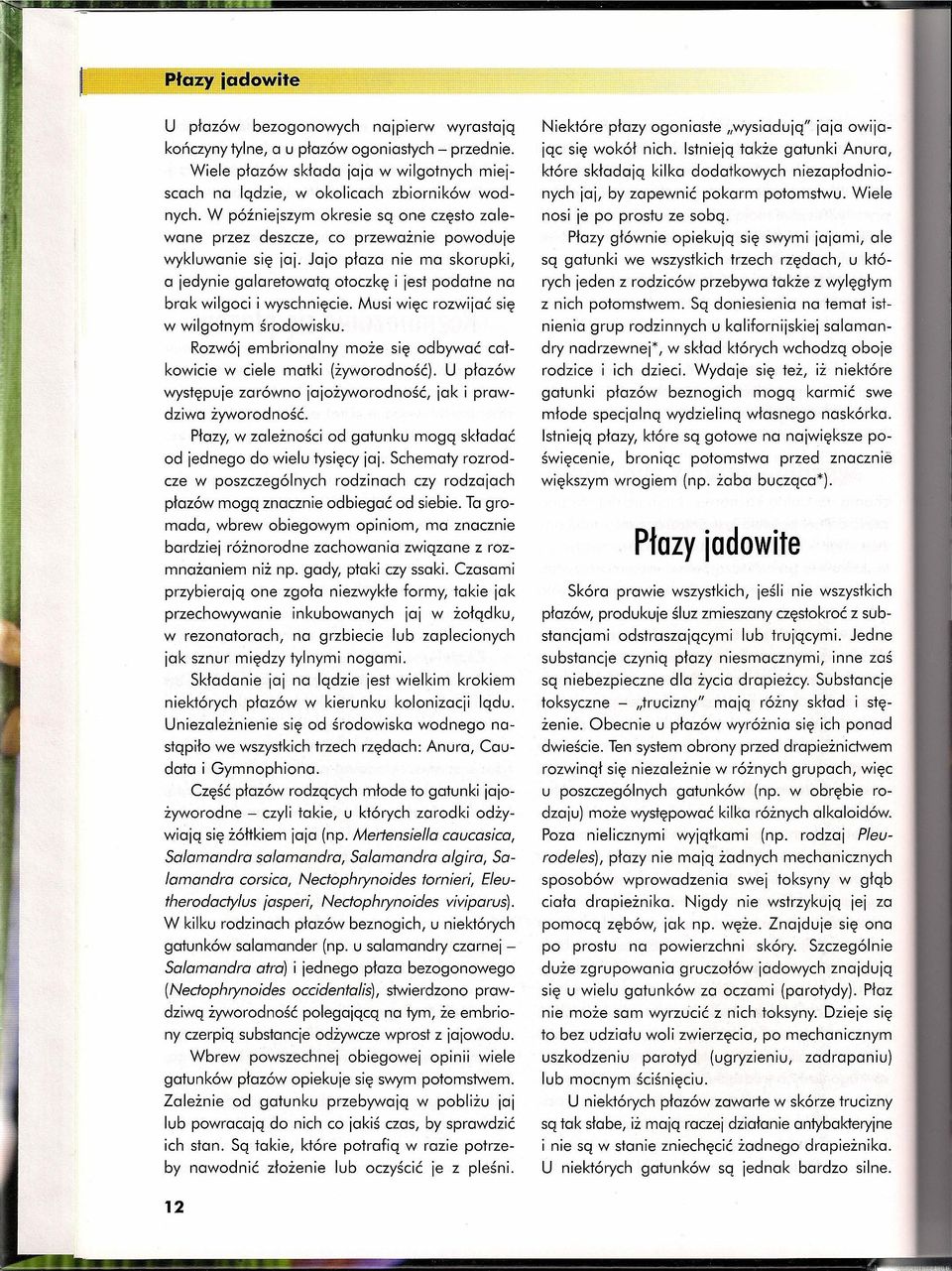 Jajo płaza nie ma skorupki, a jedynie galaretowatą otoczkę i jest podatne na brak wilgoci i wyschnięcie. Musi więc rozwijać się w wilgotnym środowisku.
