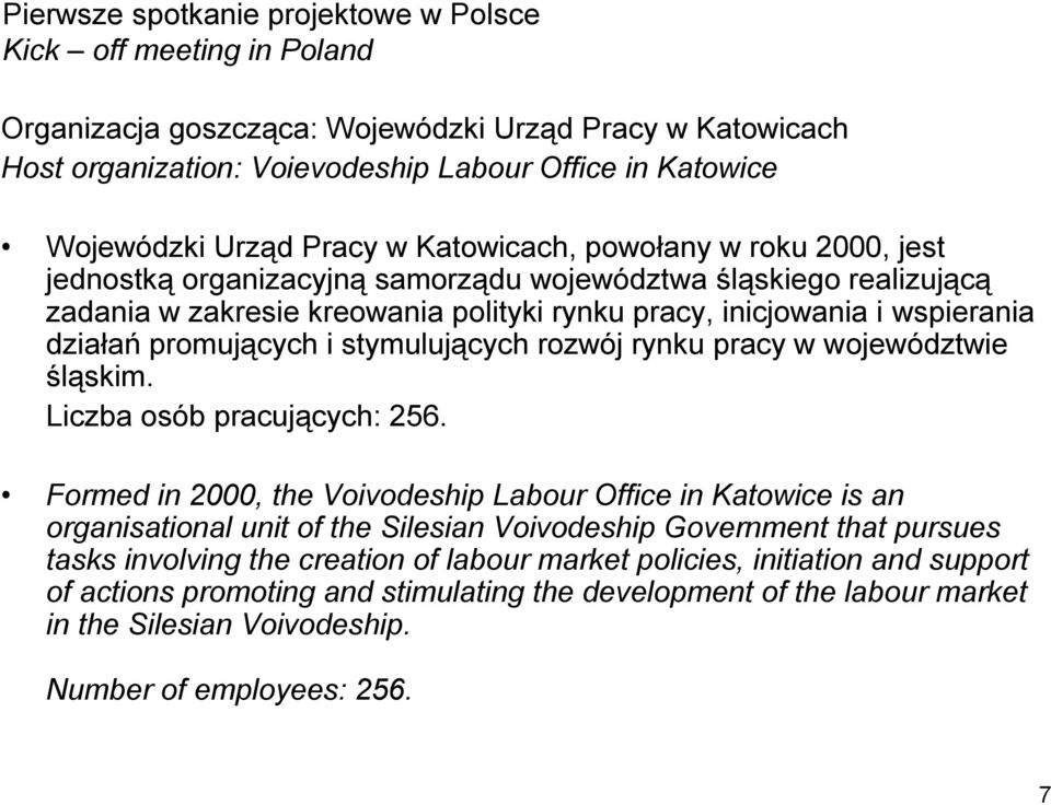 promujących i stymulujących rozwój rynku pracy w województwie śląskim. Liczba osób pracujących: 256.