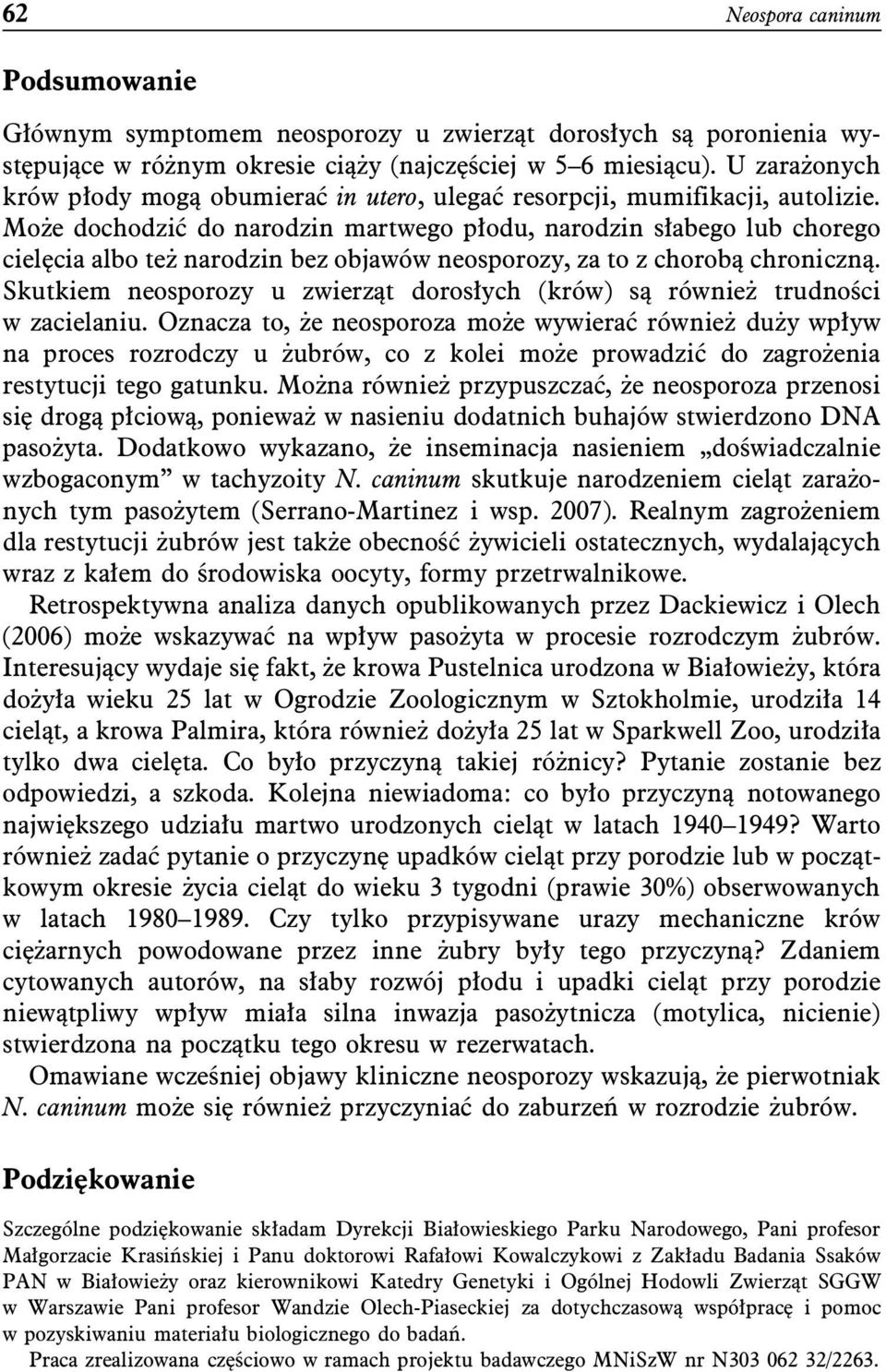 Może dochodzić do narodzin martwego płodu, narodzin słabego lub chorego cielęcia albo też narodzin bez objawów neosporozy, za to z chorobą chroniczną.