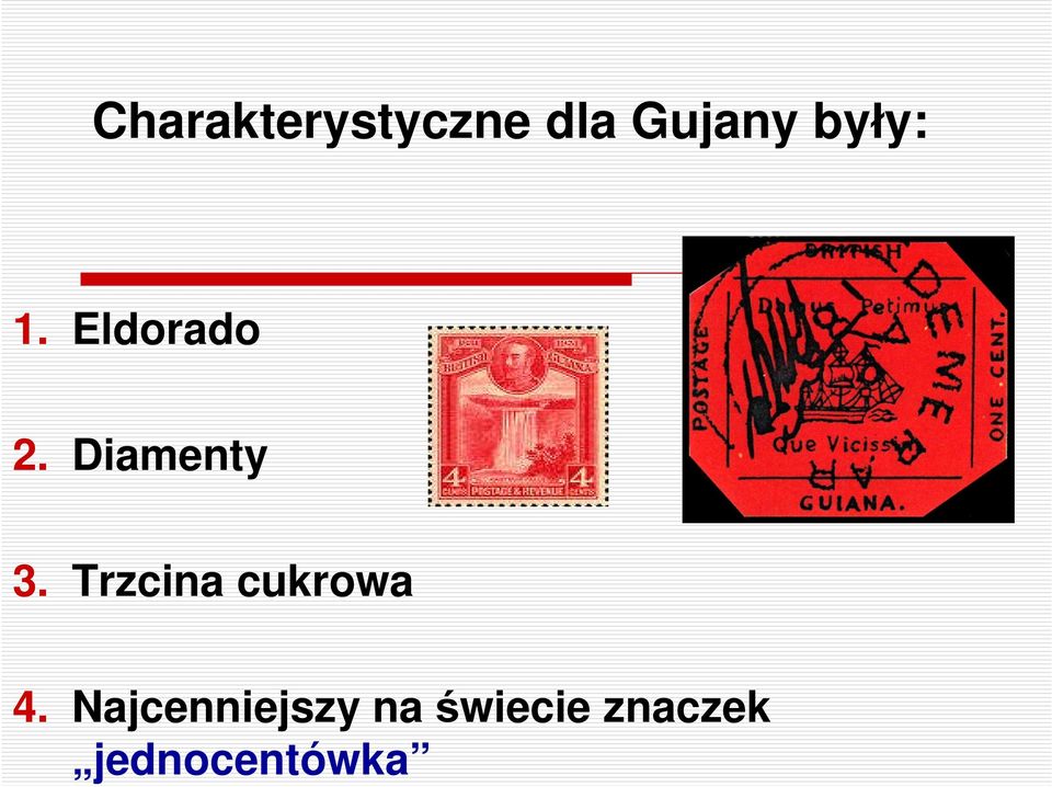 Trzcina cukrowa 4.
