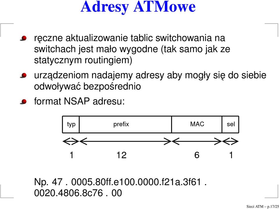 adresy aby mogły się do siebie odwoływać bezpośrednio format NSAP adresu: