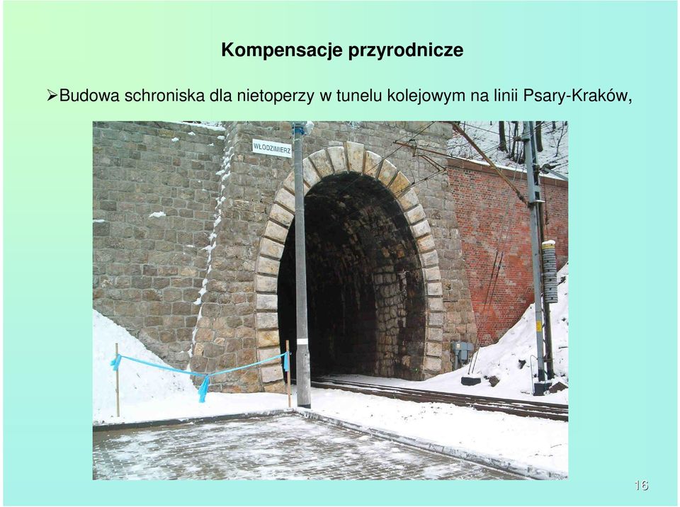 nietoperzy w tunelu