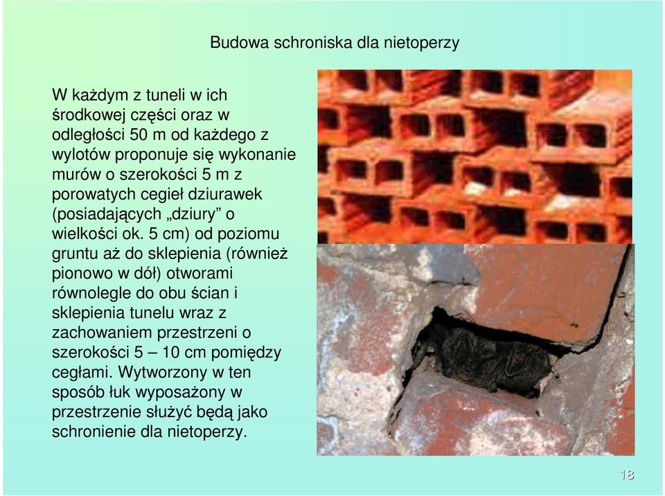 5 cm) od poziomu gruntu aŝ do sklepienia (równieŝ pionowo w dół) otworami równolegle do obu ścian i sklepienia tunelu wraz z