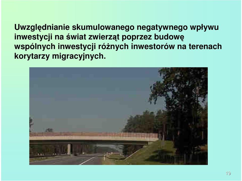 poprzez budowę wspólnych inwestycji