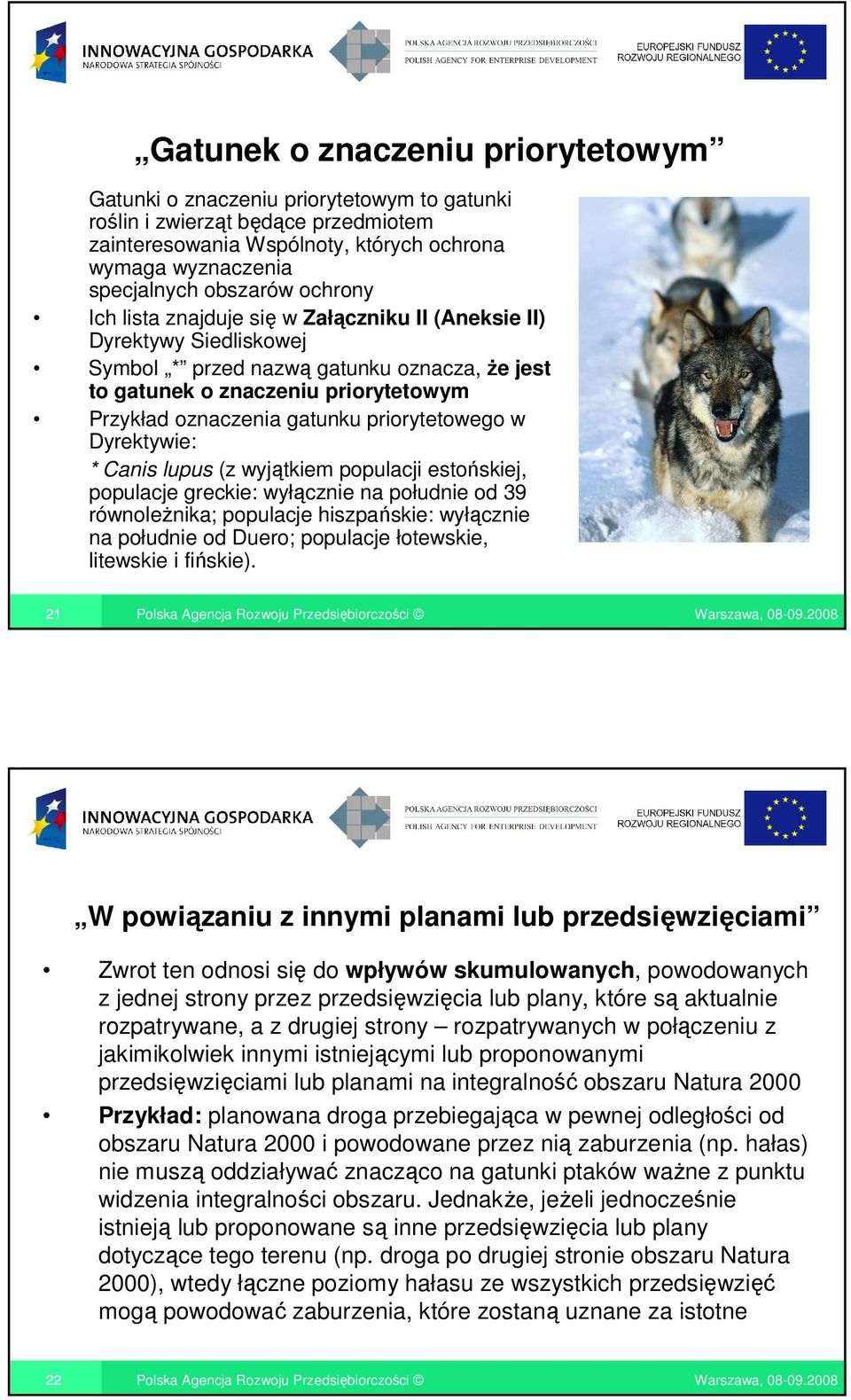 priorytetowego w Dyrektywie: * Canis lupus (z wyjątkiem populacji estońskiej, populacje greckie: wyłącznie na południe od 39 równoleŝnika; populacje hiszpańskie: wyłącznie na południe od Duero;