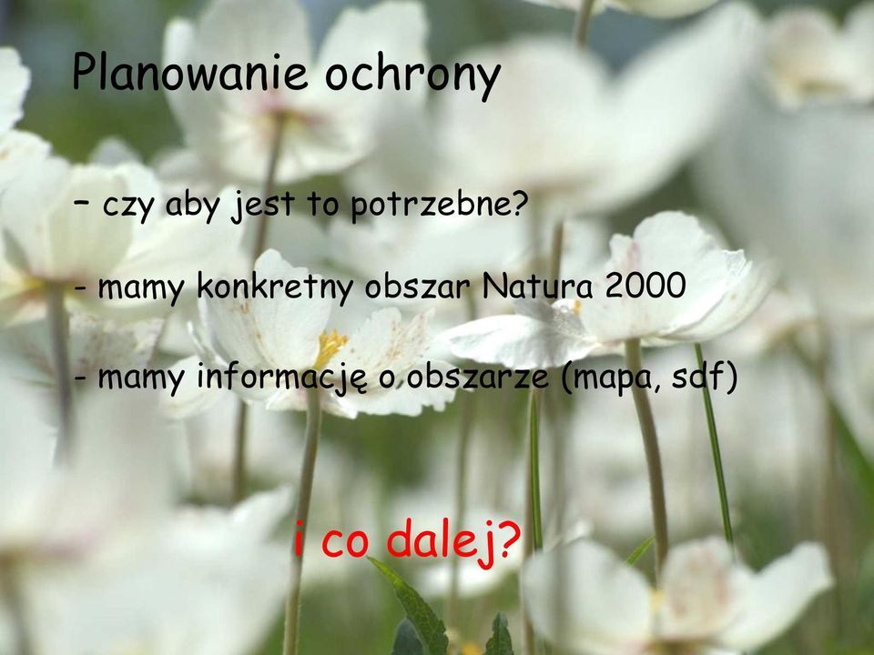 - mamy konkretny obszar Natura