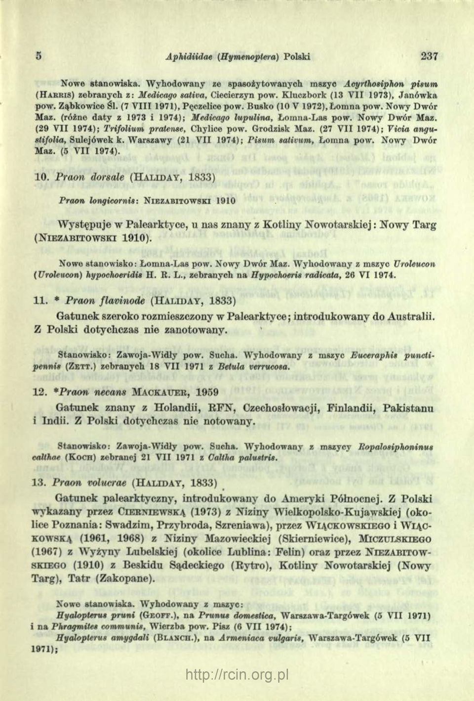 Nowy Dwór Maz. (29 V II 1974); Trifolium pratense, Chylice pow. Grodzisk Maz. (27 V II 1974); Vicia angustifolia, Sulejówek k. W arszawy (21 V II 1974); Pisum sativum, Łom na pow. Nowy Dwór Maz.