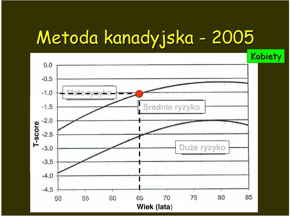 ryzyko Średnie ryzyko