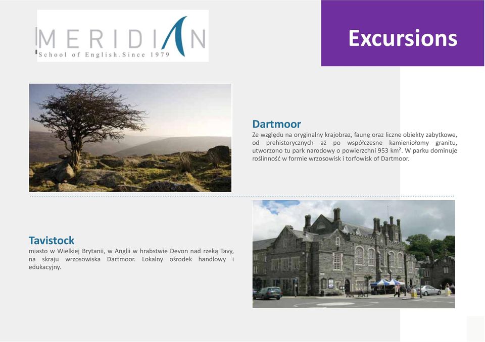 W parku dominuje roślinność w formie wrzosowisk i torfowisk of Dartmoor.