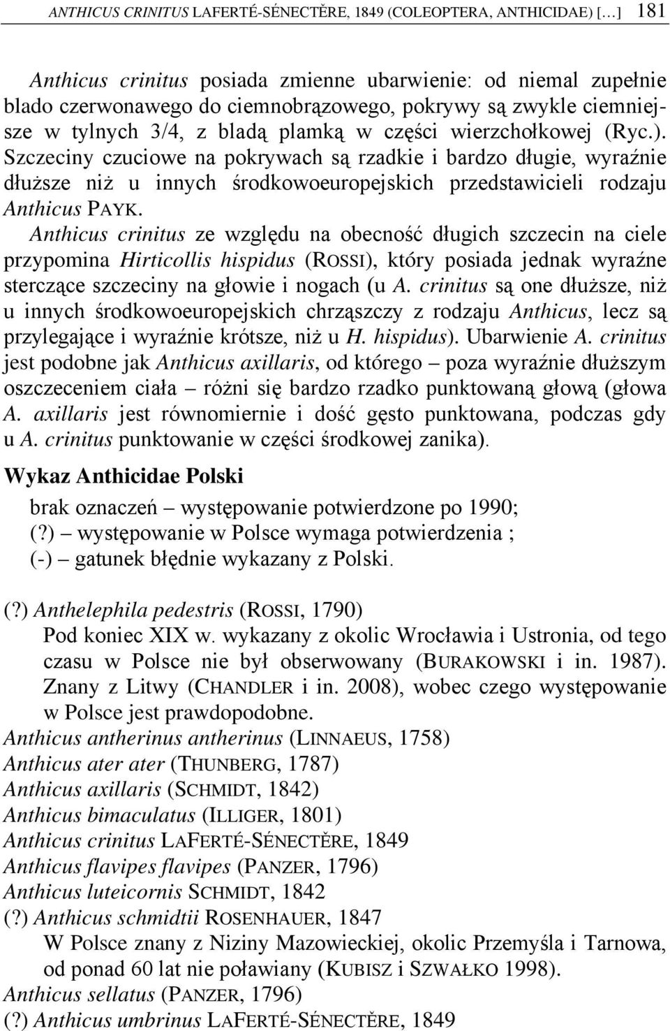 Szczeciny czuciowe na pokrywach są rzadkie i bardzo długie, wyraźnie dłuższe niż u innych środkowoeuropejskich przedstawicieli rodzaju Anthicus PAYK.