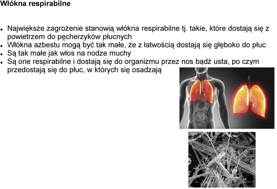 małe, że z łatwością dostają się głęboko do płuc Są tak małe jak włos na nodze muchy Są one