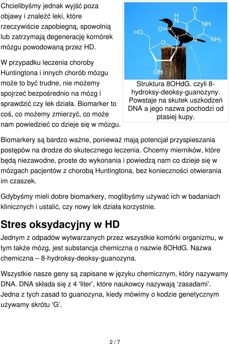 Biomarker to coś, co możemy zmierzyć, co może nam powiedzieć co dzieje się w mózgu. Struktura 8OHdG. czyli 8- hydroksy-deoksy-guanozyny.