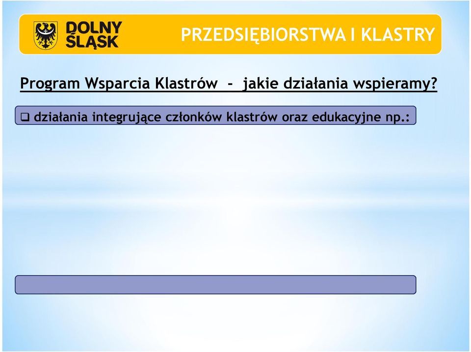 : spotkania informacyjne, seminaria, szkolenia i doradztwo (pod kątem internacjonalizacji działalności, wspólnej sprzedaży i