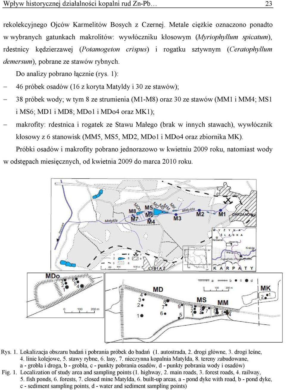 demersum), pobrane ze stawów rybnych. Do analizy pobrano łącznie (rys.