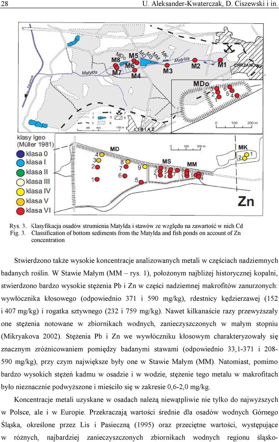 Classification of bottom sediments from the Matylda and fish ponds on account of Zn concentration Stwierdzono także wysokie koncentracje analizowanych metali w częściach nadziemnych badanych roślin.