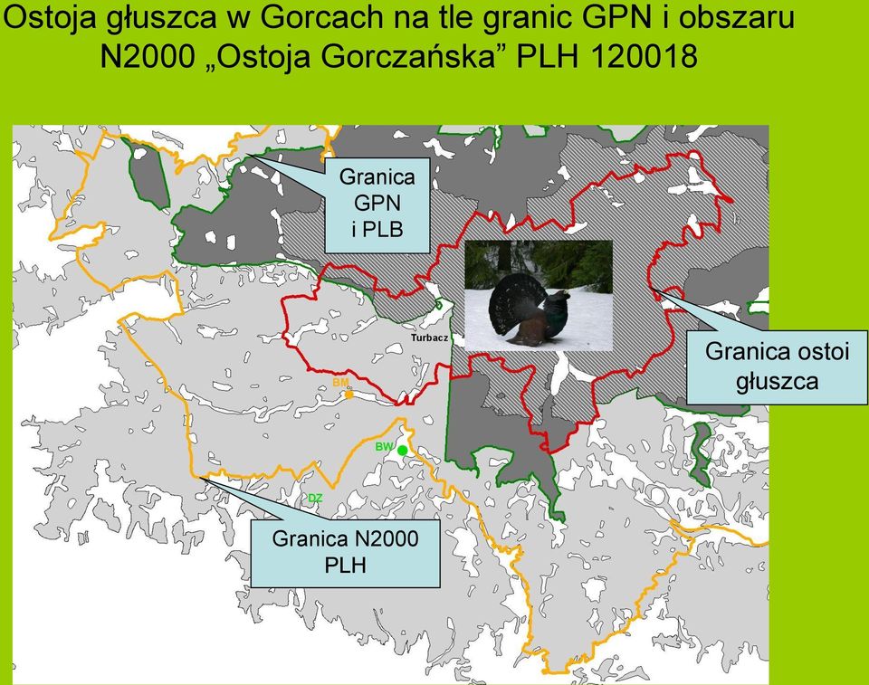 Gorczańska PLH 120018 Granica GPN i