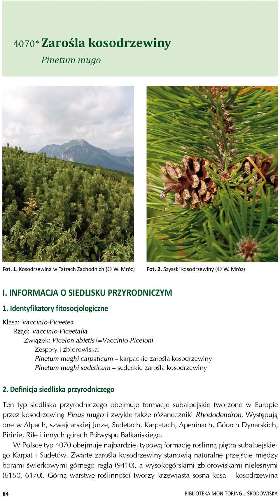 Identyfikatory fitosocjologiczne Klasa: Vaccinio-Piceetea Rz d: Vaccinio-Piceetalia Zwi zek: Piceion abietis (=Vaccinio-Piceion) Zespo y i zbiorowiska: Pinetum mughi carpaticum karpackie zaro la