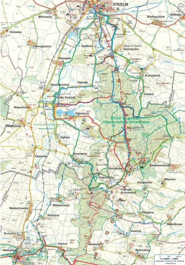 3.3 DROGI I ŚCIEŻKI ROWEROWE Wg systematyki prowadzonej w GUS, wg danych za 2013 rok, na obszarze gminy Strzelin znajduje się 2 km dróg dla rowerów, tj.
