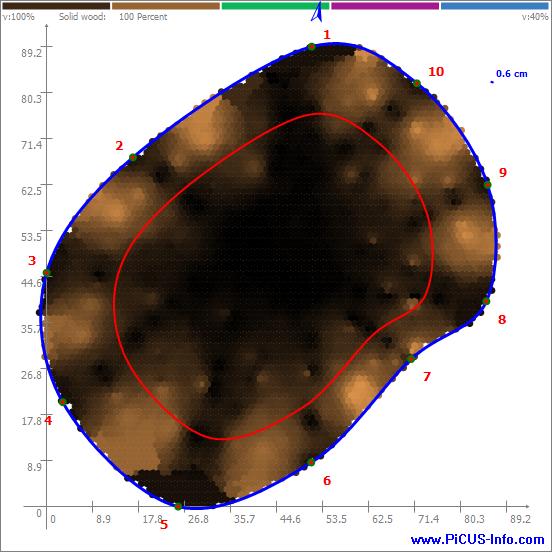 Ekspertyza dendrologiczna lipy szerokolistnej w Nowych Laskach TOMOGRAM