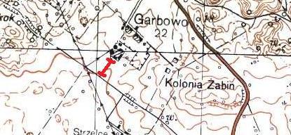 DANE OGÓLNE numer inwentaryzacyjny 112 data 02.10.2012 lokalizacja Aleja przy północnej odnodze trasy Garbowo - Nowe Laski wsp. punktu początkowego N 53 24,515 E 16 08,184 wsp.