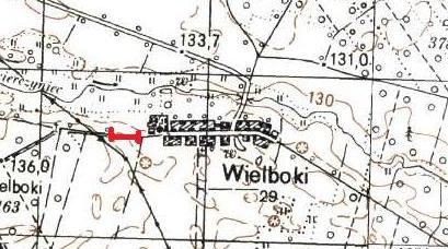 DANE OGÓLNE numer inwentaryzacyjny 119 data 03.10.2012 lokalizacja Aleja wzdłuż zachodniego wyjazdu z miejscowości Wielboki w stronę lasu wsp. punktu początkowego N 53 25,498 E 16 18,072 wsp.