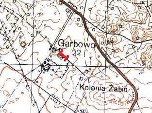 DANE OGÓLNE numer inwentaryzacyjny 209 data 02.10.2012 lokalizacja Szpaler przy wsi Garbowo wsp. punktu początkowego N 53 24,605 E 16 08,468 wsp.