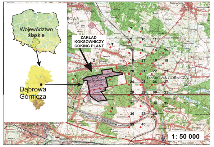 Kuna P., 2011. Zanieczyszczenie wybranych komponentów środowiska przez wielopierścieniowe węglowodory 3 Rys. 1.