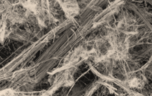 Rys. nr 2. Włókna azbestowe: po lewej włókna chryzotylowe, po prawej włókna krokidolitowe.