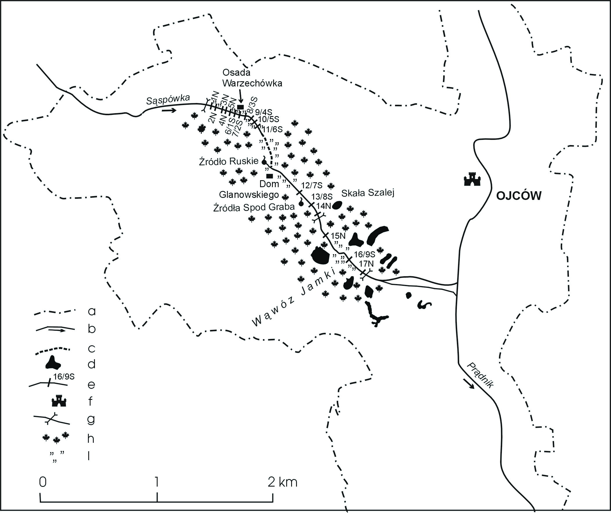 Stanowiska bobrów europejskich w Dolinie Sąspowskiej 85 Ryc. 1. Rozmieszczenie tam bobrowych na Sąspówce w Ojcowskim Parku Narodowym w latach 2005 2007 (wykonał J.