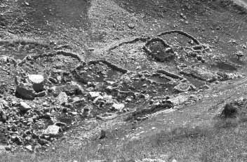 Wołoskie osadnictwo w Karpatach w aspekcie historyczno-geograficznym 17 5. Mity związane z osadnictwem wołoskim Mit 1.