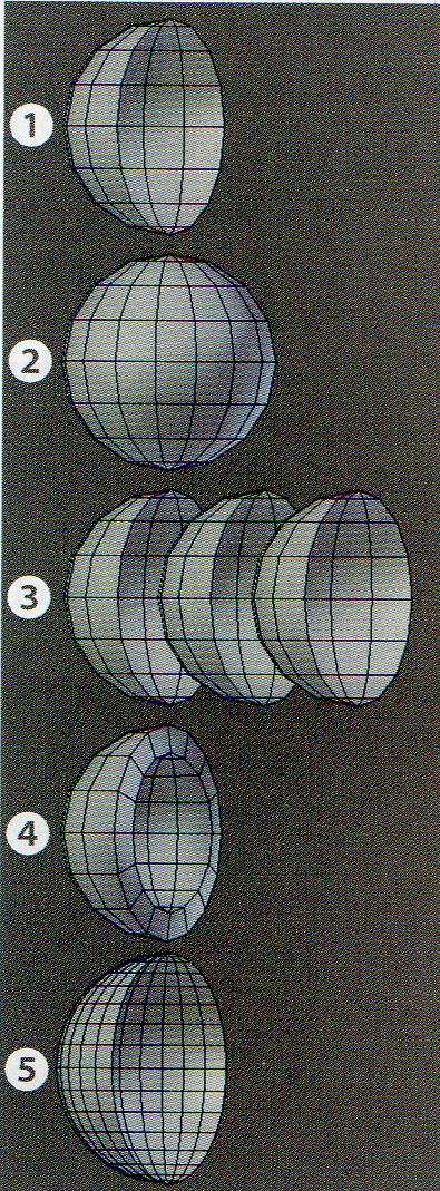 Rys. 9 Efekty zastosowania wybranych modyfikatorów 1 po zastosowaniu modyfikatora Mirror 2 po zastosowaniu modyfikatora Array 3 po zastosowaniu modyfikatora Solidify 4 po zastosowaniu