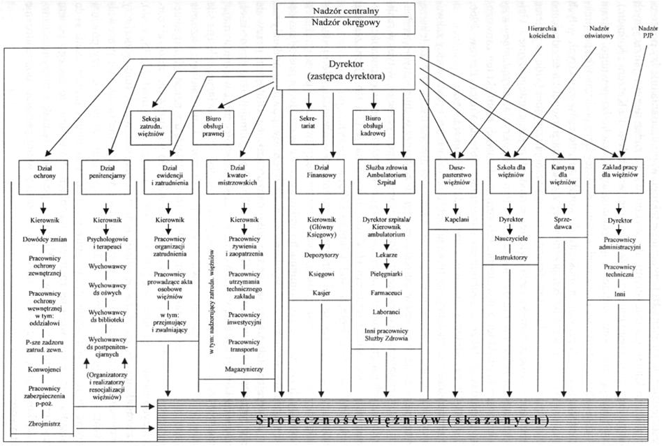 Model organizacyjny polskiego zakładu