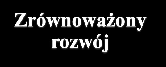 przez Światową Komisję Środowiska i Rozwoju Organizacji Narodów Zjednoczonych.