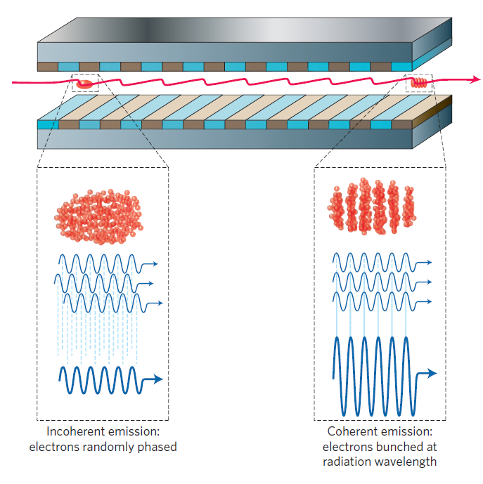 Laser na swobodnych elektronach mikro-paczkowanie Wykładniczy wzrost mocy!