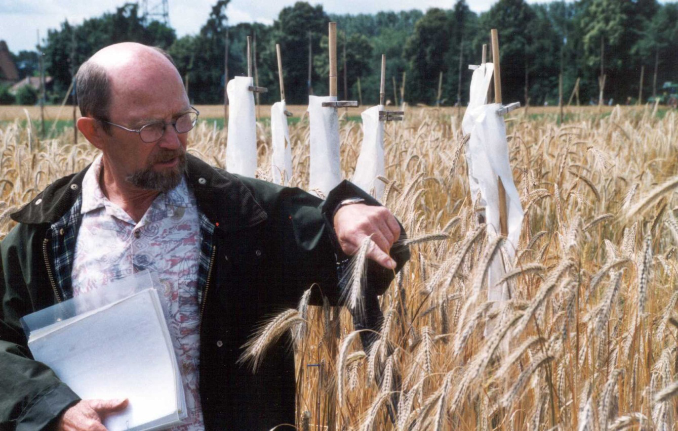 Achievements of organic breeding / Sukcesy hodowli ekologicznej Example: common bunt (Tilletia caries) / Przykład:Śnieć cuchnąca pszenicy (Tilletia caries) Field trial of ETH Zürich with genetically