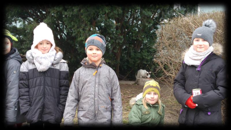 Zajmujemy się pomaganiem zwierzętom. Pierwszym zadaniem Aniołów ze szkoły było zaproszenie p. Toma Justyniarskiego, autora książki Psie troski, obrońcą praw zwierząt.