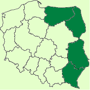 Białowieża 7-8 sierpnia 2008 r.