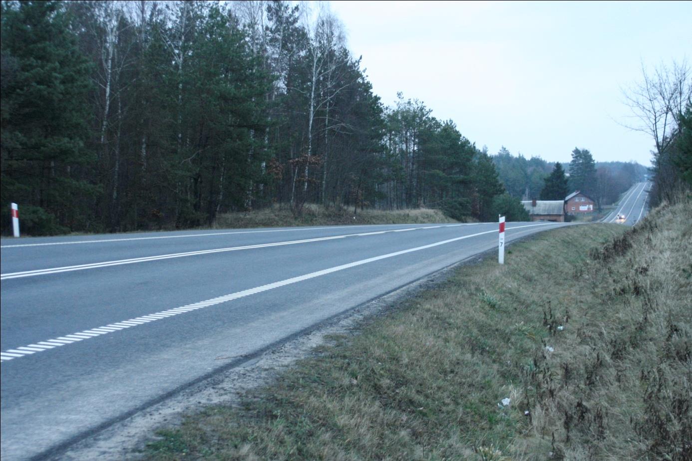 Inwestycje liniowe DK 91 okolice Zdrojewa, Zalecane rozwiązania: montaż specjalnych znaków ostrzegawczych,