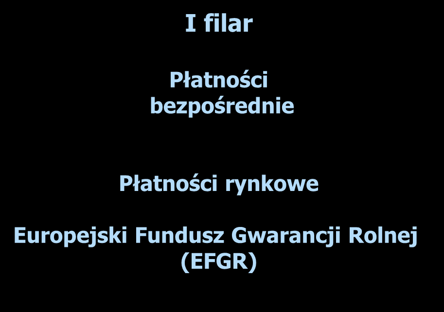 Wspólna Polityka Rolna I filar Płatności bezpośrednie Płatności rynkowe Europejski Fundusz Gwarancji Rolnej (EFGR) II filar Rozwój obszarów wiejskich