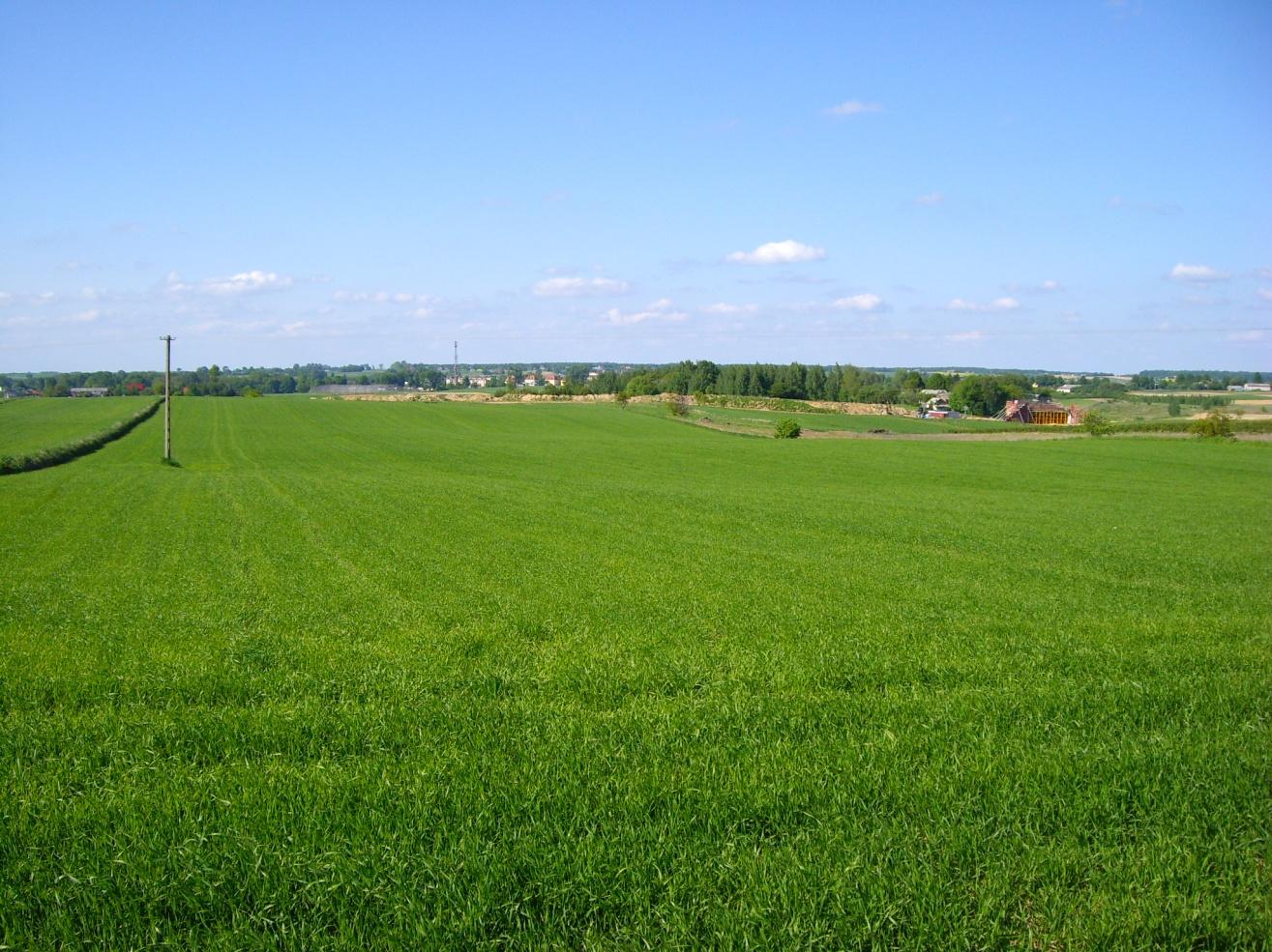 Można tam również dotrzeć od strony Dąbrowicy, przecierając lokalne drogi