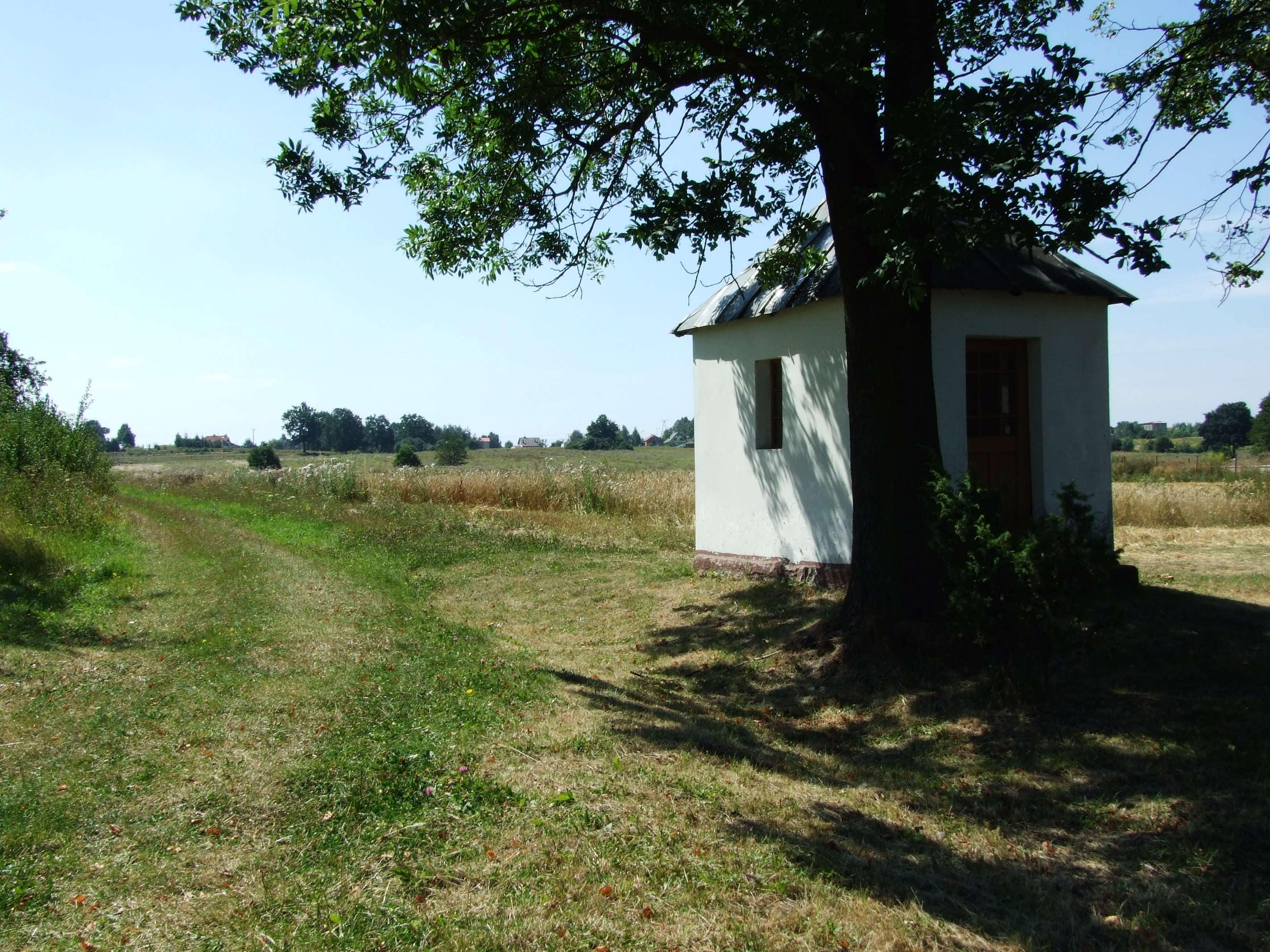 6 2. CHARAKTERYSTYKA WSI Gęstość zaludnienia w Dąbiu wynosi 0,9 mieszkańca/hektar. W Dąbiu dominuje zabudowa zwarta, a budynki w większości położone są przy drodze.