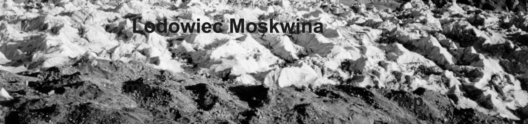 Powierzchnia współczesnych lodowców pamirskich wynosi około 8000 km2.