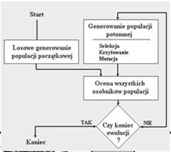OPTYMALIZACJA WIELOMODALNA OBLICZENIA EWOLUCYJNE FITNESS F. START COMPUTATION FITNESS F. COMPUTATION INITIAL SUBPOPULATION SENDING CHROM. TO COMPUTERS chromosome AND RECEIVING FITNESS F.