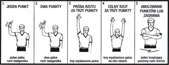 Rysunek 14 Umiejscowienie zawodników podczas rzutów